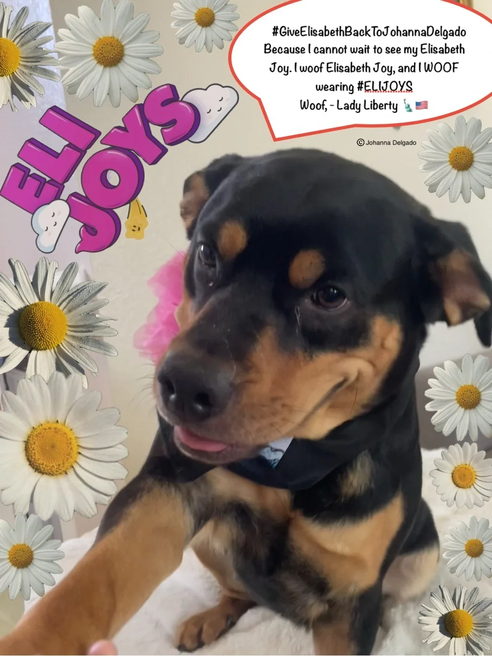 ELIJOYS - Black Dog Bandana with Mermaid Princess ©️JD Accent